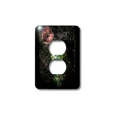 Imagem de 3dRose LLC lsp_21462_6 Fear of The Dark Skull Gothica Dark Rock Music Fear Night Darkness 2 Plug Outlet Cover