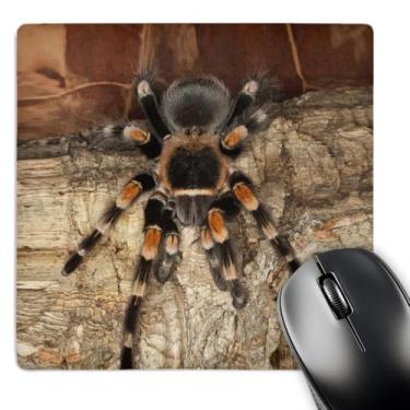 Imagem de 3dRose LLC Mouse pad mexicano 20 x 20 x 0,25 cm Red-Kneed Tarantula Spider Mexico Adam Jones (mp_86584_1)