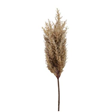 Imagem de Planta Artificial Capim Astilbe Permanente Bege 70cm Florarte