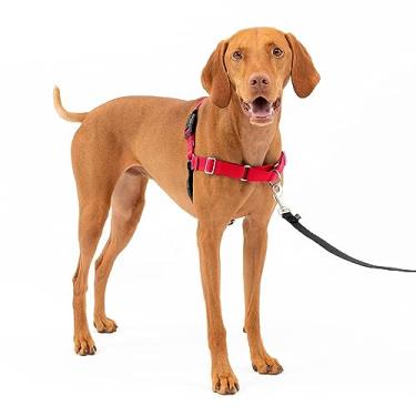 Imagem de PetSafe Coleira Para Cães Easy Walk Dog Arnês Para Cães Sem Puxar Medium Vermelho 066939
