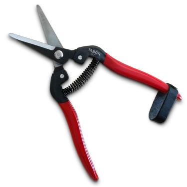 Imagem de TABOR TOOLS K7A Tesoura reta de poda com lâminas de aço de carbono, Tesoura florista, Pontas de jardim multitarefa para organizar flores, plantas de corte e ervas de colheita, frutas ou vegetais.