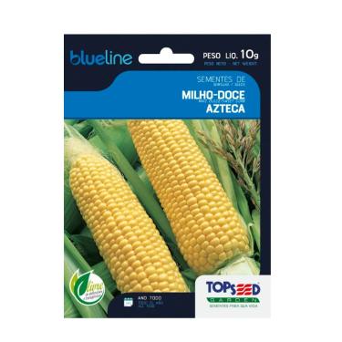 Imagem de Sementes de Milho Doce Azteca Blueline, 10g, Cultivo Durante Todo o Ano