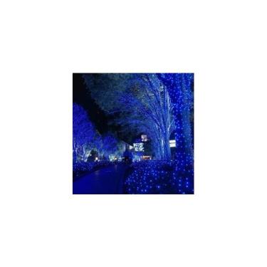 Imagem de Guirlanda de Natal com luzes solares, 10 m, 100 LED, pacote azul x2 - 