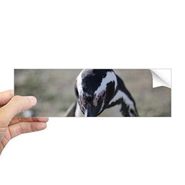 Imagem de DIYthinker Pinguins fofos ciência natureza imagem retangular para-choque adesivo notebook janela decalque