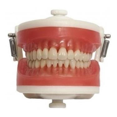 Imagem de Manequim Articulado Universal Top Dentística Pd100 - Pronew