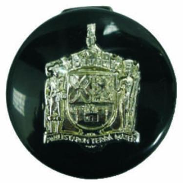 Imagem de Botão Buzina Fusca - Guia Acessorios Automotivos