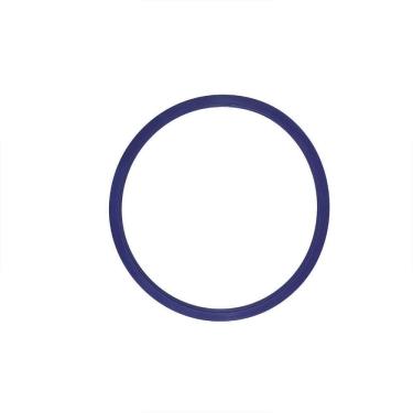 Imagem de Guarnição / Anel De Vedação Autoclave Alt 42 / 65 Lts Azul