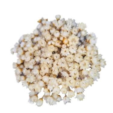 Imagem de Buque de Flores Artificiais Sempre Viva - Kit com 1.600 Flores, Tipo 1 Extra, Arranjo Decorativo para Presentes e Decoração(Bege,2 buquês (400 florzinhas))