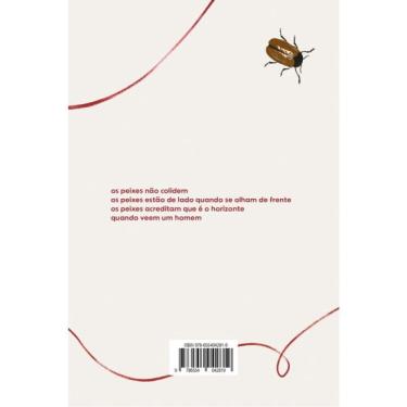 Imagem de Nevoeiro-Claraboia