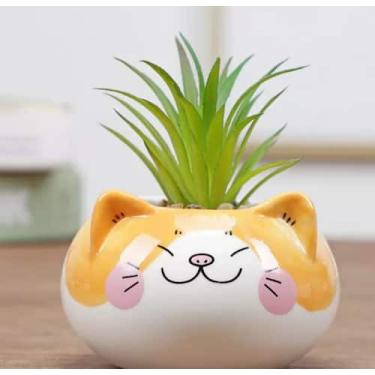 Imagem de Vaso de suculenta decorativo - Rose garden 