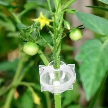 Imagem de 10 unidades de cápsulas de enraizamento de plantas de alta pressão - bolas de propagação de camadas de ar para mudas de árvores e berçário - transparente