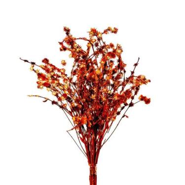 Imagem de Planta Seca Rosinha Laranja Desidratado 50cm - Pense Flores