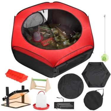 Imagem de Kit completo de chocadeira para pintinhos com placa de aquecimento - ideal para pintinhos, patos ou codornas