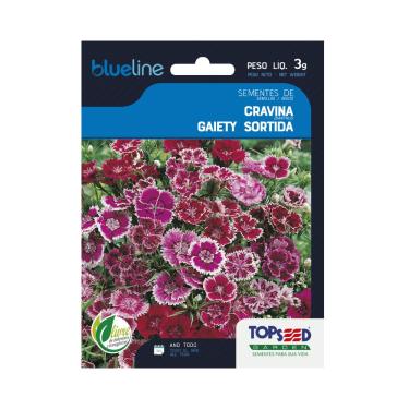Imagem de Sementes de Cravina Gaiety Sortida, Flores Mistas em Tons de Rosa e Vermelho, 3g