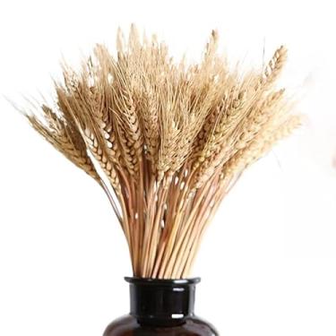 Imagem de 30 Trigos Secos Fechos Fardos Desidratados Arranjos Flores Decoração 60cm Hastes Longas Tendência Lembrancinhas