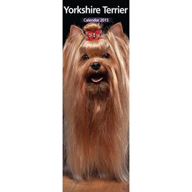 Imagem de Calendário de parede Yorkshire Terrier 2015