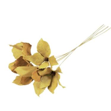 Imagem de Planta Seca Flor de Carne de Vaca Amarela 60cm - Pense Flores