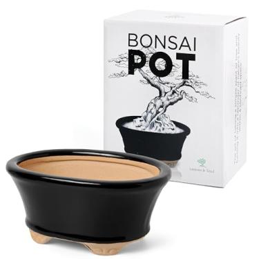Imagem de Vaso de bonsai de cerâmica esmaltada | Vaso decorativo para árvores anãs, suculentas, plantas pequenas | Recipiente pequeno para jardins internos e externos, centros de mesa e decoração de peitoril de