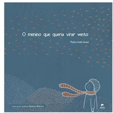 Imagem de Menino Que Queria Virar Vento, O