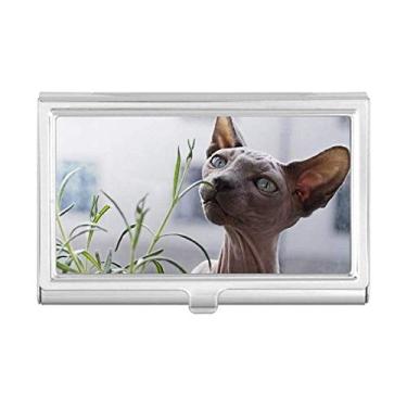 Imagem de Porta-cartões de visita com fotografia de gato fina cinza animal