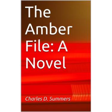 Imagem de The Amber File: A Novel (Lynch's Corner Series) (English Edition)