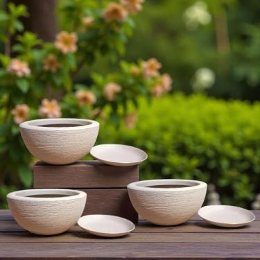 Imagem de Vaso Bacia para Planta Suculntas Cactos Flores (Bege)