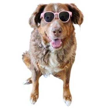 Imagem de G006 Óculos de sol retrô para cães dos anos 80 ajustáveis para raças médias de 9 a 18 kg para festa cosplay sessão de fotos (Panto Pink)