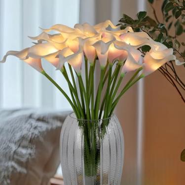 Imagem de HOMESEASONS Lâmpada de lírio de calla de flores artificiais iluminadas por LED, 20 hastes de toque real, luzes de flores falsas para presente de dia dos namorados e Páscoa, casa, cozinha, casamento