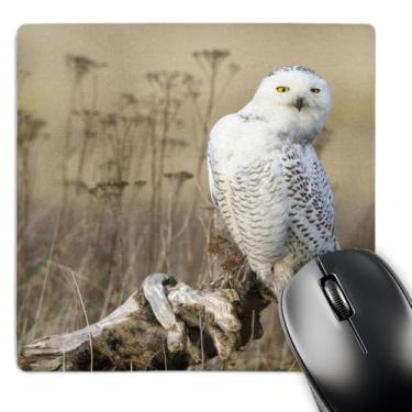 Imagem de 3dRose mp_147890_1 20 cm EUA Washington Snowy Owl at Damon Point Ocean Shore Us48 Glu0325 Gary Luhm Mouse Pad