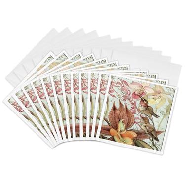 Imagem de 3dRose Catasetum and Cypridediums de Edward J Detmold Orquídea e Beija-flores Cartões comemorativos, conjunto de 12 (gc_126456_2)