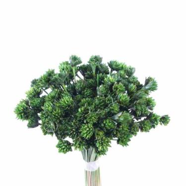 Imagem de Planta Seca Botão Espeta Nariz Desidratado Verde - Pense Flores