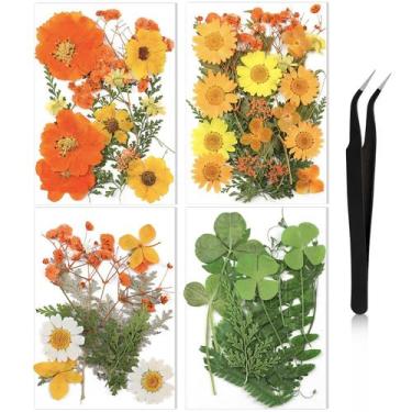 Imagem de Flores prensadas Nuanchu Dried Flower Crafts com pinça 68 unidades