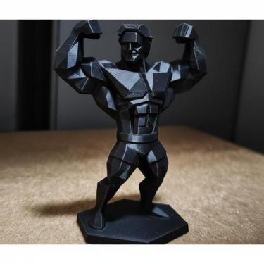 Imagem de Decoração Estátua Mr Olympia Fisicultorista Academia - Preto - Cria 3D