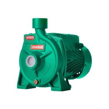Imagem de Bomba Monoestágio B-10 1/2 Cv Monofásico Motor Thebe IP44 127/220V Ver
