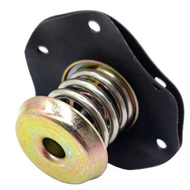 Imagem de Diafragma do regulador de pressão de combustível TPi para Chevrolet Camaro Cavalier Citation de celebridades Corvette Pontiac 6000 Fiero Firebird Buick Cadillac Oldsmobile 17110851 PR10