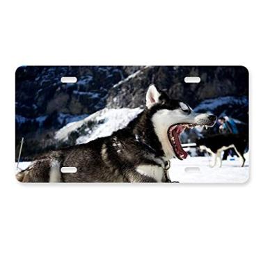 Imagem de DIYthinker Placa de carro para decoração de carro Big Mouth Dog Snow Husky