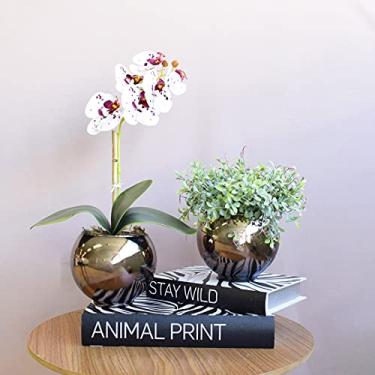 Imagem de Kit com 2 Arranjos Flor Artificial Orquídea Tigre e Peperômia no Vaso de Vidro Bronze