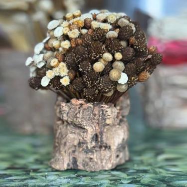 Imagem de Tronco Decorativo Rústico com Flores Sempre Vivas, 25 cm, Casca Natural, Arranjo Artesanal para Decoração (TRONCO-05)