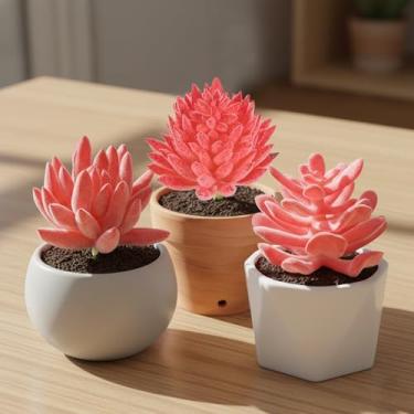 Imagem de Conjunto de 3 palhetas decorativas de plantas artificiais para decoração de mesa de escritório em casa, estúdio de fotos, exibição de mesa de jantar (combinação de suculentas rosa A