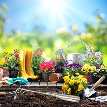 Imagem de TOPINCN Extrator de Ervas Daninhas Manual, Ferramenta de Remoção de Ervas Daninhas Em Forma de V de Aço Inoxidável para Fácil Remoção de de Jardim - Acessório de Jardinagem Perfeito para Iniciantes