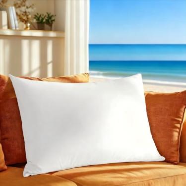 Imagem de Shilucheng Conjunto de 1 travesseiro de plumas de ganso tamanho Queen, travesseiro lateral para dormir, macio, respirável, 600 fios, algodão, concha de qualidade hoteleira (branco, 50,8 cm x 76,2 cm)