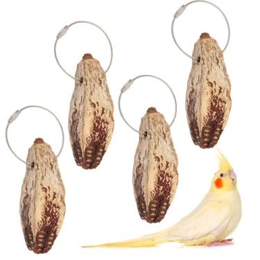 Imagem de Pacote com 4 nozes mastigáveis de pássaros, brinquedo de amolar bico, lanche natural de nozes secas para pássaros, papagaios, cacatuas eclectus, cinzas africanas