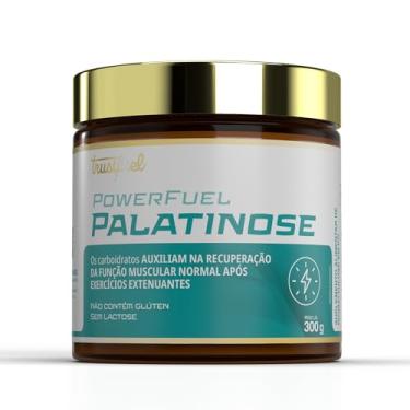 Imagem de SUP POWERFUEL PALATINOSE PO 300G