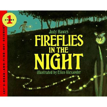 Imagem de Fireflies In The Night