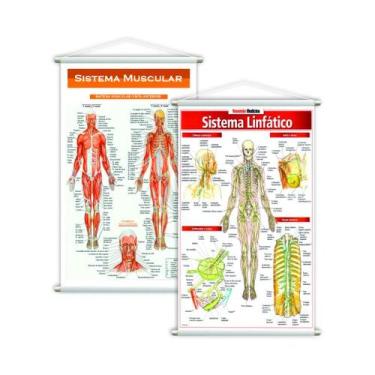 Imagem de Sistema Linfático + Sistema Muscular Kit 2 Banners Grande - PlimShop