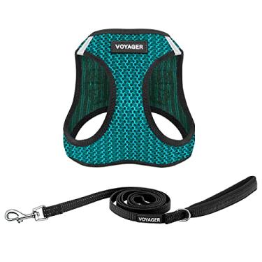 Imagem de Voyager Coleira de malha para todos os climas e coleira reflexiva para cães de 1,5 m com alça de neoprene, para filhotes de raças pequenos, médios e grandes da Best Pet Supplies - Turquesa (2 tons), P