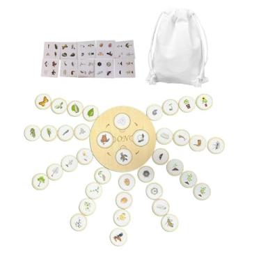 Imagem de Kokiya Bandeja do ciclo de vida, brinquedos educativos infantis para meninas, meninos, 3 4 5 6