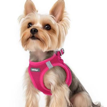 Imagem de Colete Dog Harness Rabbitgoo Step-in Soft Mesh Puppy XS