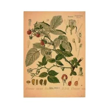 Imagem de Pôster Vintage De Flores Botânicas DIY Para Decoração De Quarto, Casa,