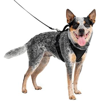 Imagem de PetSafe Peitoral para cães EasySport, peitoral para cães acolchoado ajustável com alça de controle e tubulação reflexiva, dos fabricantes do peitoral Easy Walk, preto, médio